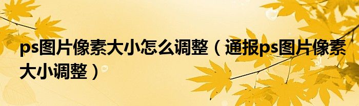 ps图片像素大小怎么调整(通报ps图片像素大小调整)