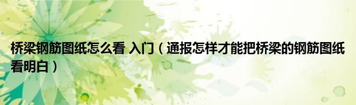 桥梁钢筋图纸怎么看 入门(通报怎样才能把桥梁的钢筋图纸看明白)