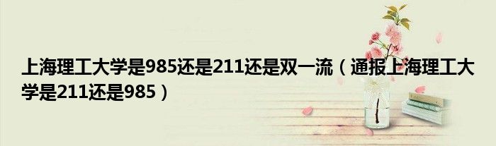 上海理工大学是985还是211还是双一流(通报上海理工大学是211还是985)