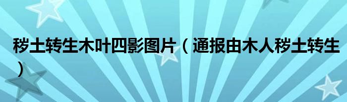 秽土转生木叶四影图片(通报由木人秽土转生)