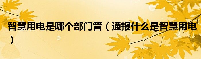 智慧用电是哪个部门管(通报什么是智慧用电)