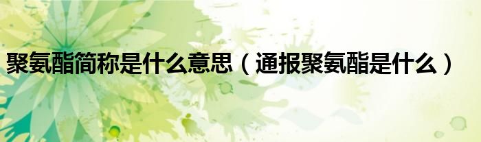 聚氨酯简称是什么意思(通报聚氨酯是什么)
