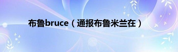 布鲁bruce(通报布鲁米兰在)
