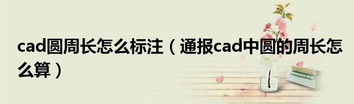 cad圆周长怎么标注(通报cad中圆的周长怎么算)