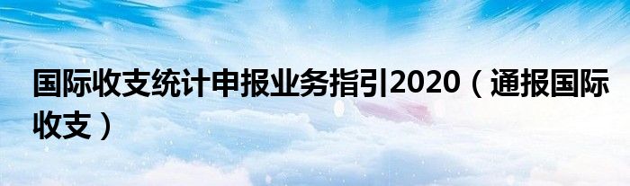 国际收支统计申报业务指引2020(通报国际收支)