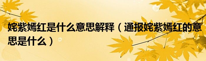 姹紫嫣红是什么意思解释(通报姹紫嫣红的意思是什么)