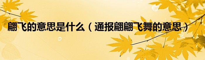 翩飞的意思是什么(通报翩翩飞舞的意思)