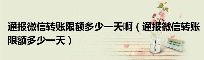 通报微信转账限额多少一天啊(通报微信转账限额多少一天)