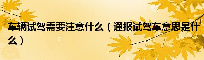 车辆试驾需要注意什么(通报试驾车意思是什么)