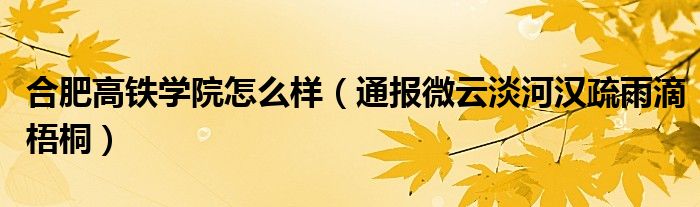 合肥高铁学院怎么样(通报微云淡河汉疏雨滴梧桐)