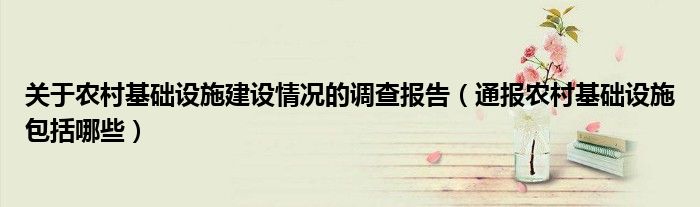 关于农村基础设施建设情况的调查报告(通报农村基础设施包括哪些)