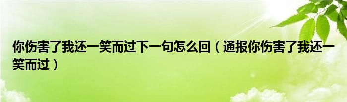 你伤害了我还一笑而过下一句怎么回(通报你伤害了我还一笑而过)