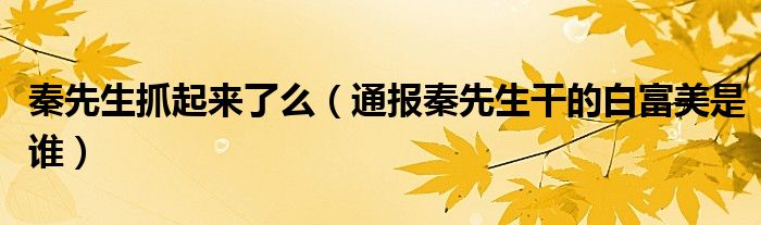 秦先生抓起来了么(通报秦先生干的白富美是谁)