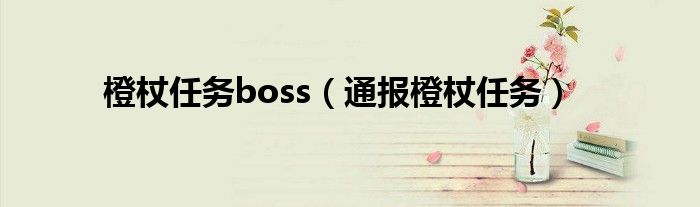 橙杖任务boss(通报橙杖任务)