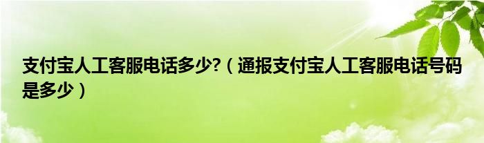 支付宝人工客服电话多少?(通报支付宝人工客服电话号码是多少)