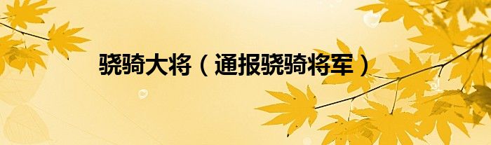 骁骑大将（通报骁骑将军）