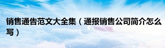 销售通告范文大全集(通报销售公司简介怎么写)