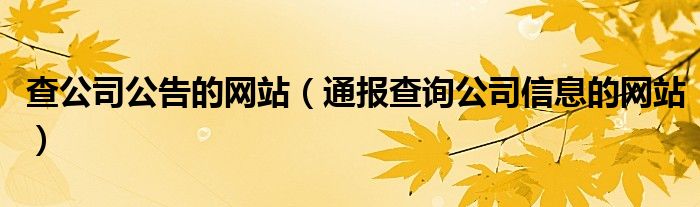 查公司公告的网站(通报查询公司信息的网站)