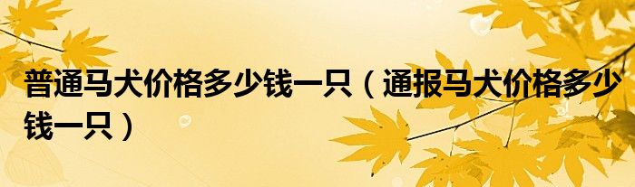 普通马犬价格多少钱一只(通报马犬价格多少钱一只)
