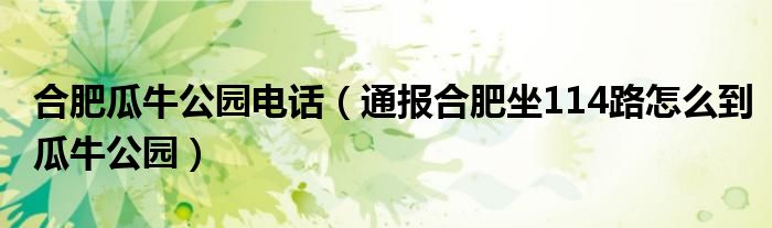 合肥瓜牛公园电话(通报合肥坐114路怎么到瓜牛公园)