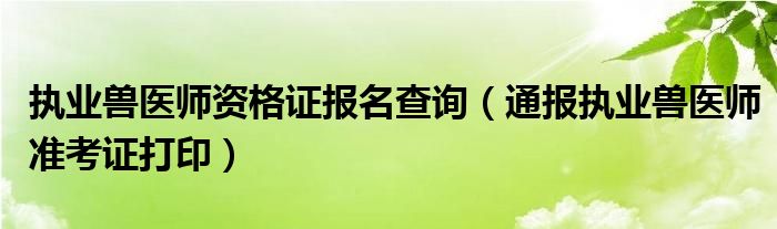 执业兽医师资格证报名查询(通报执业兽医师准考证打印)