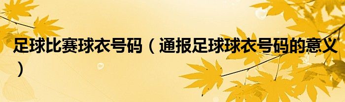 足球比赛球衣号码(通报足球球衣号码的意义)