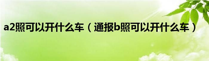 a2照可以开什么车(通报b照可以开什么车)