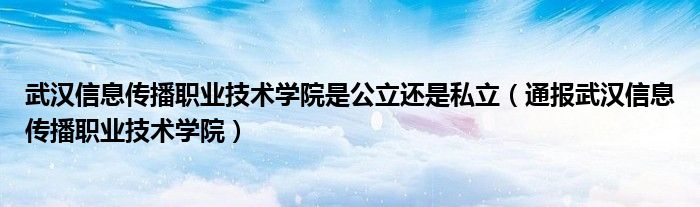 武汉信息传播职业技术学院是公立还是私立(通报武汉信息传播职业技术学院)