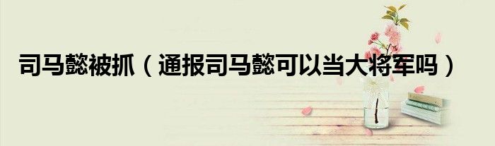 司马懿被抓(通报司马懿可以当大将军吗)
