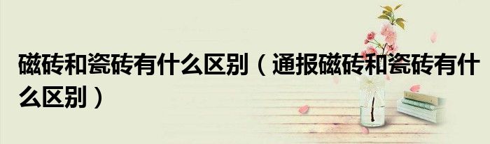 磁砖和瓷砖有什么区别(通报磁砖和瓷砖有什么区别)