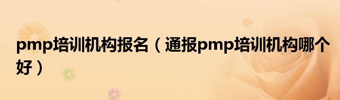 pmp培训机构报名(通报pmp培训机构哪个好)
