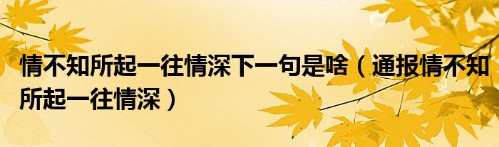 情不知所起一往情深下一句是啥(通报情不知所起一往情深)