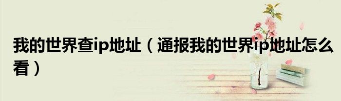 我的世界查ip地址(通报我的世界ip地址怎么看)