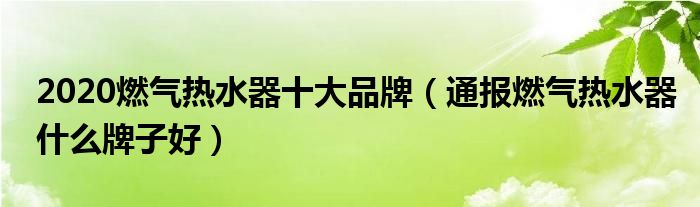 2020燃气热水器十大品牌(通报燃气热水器什么牌子好)