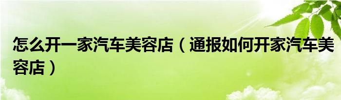 怎么开一家汽车美容店(通报如何开家汽车美容店)