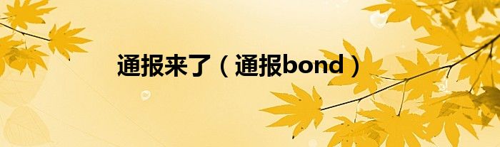 通报来了(通报bond)