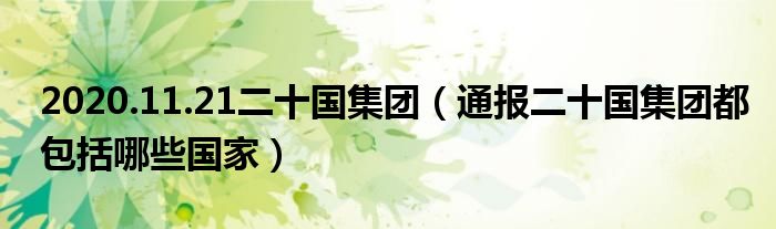 2020.11.21二十国集团(通报二十国集团都包括哪些国家)