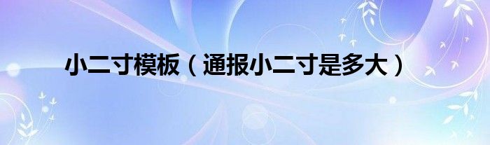 小二寸模板(通报小二寸是多大)