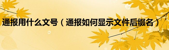 通报用什么文号(通报如何显示文件后缀名)