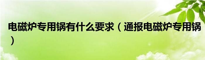 电磁炉专用锅有什么要求(通报电磁炉专用锅)