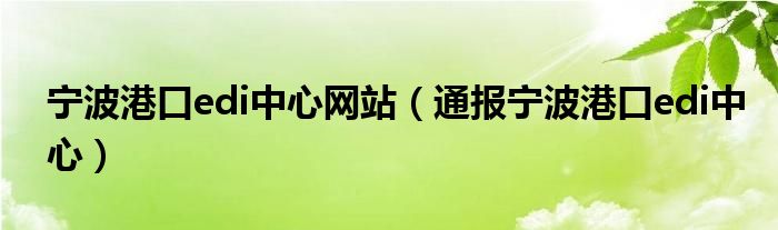 宁波港口edi中心网站(通报宁波港口edi中心)