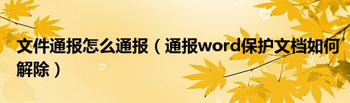 文件通报怎么通报(通报word保护文档如何解除)