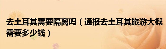 去土耳其需要隔离吗(通报去土耳其旅游大概需要多少钱)