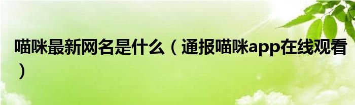 喵咪最新网名是什么(通报喵咪app在线观看)
