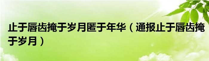 止于唇齿掩于岁月匿于年华(通报止于唇齿掩于岁月)