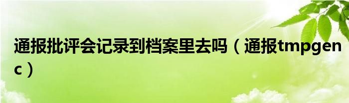 通报批评会记录到档案里去吗(通报tmpgenc)