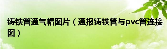 铸铁管通气帽图片(通报铸铁管与pvc管连接图)