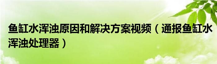 鱼缸水浑浊原因和解决方案视频(通报鱼缸水浑浊处理器)