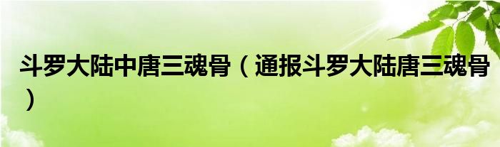 斗罗大陆中唐三魂骨(通报斗罗大陆唐三魂骨)