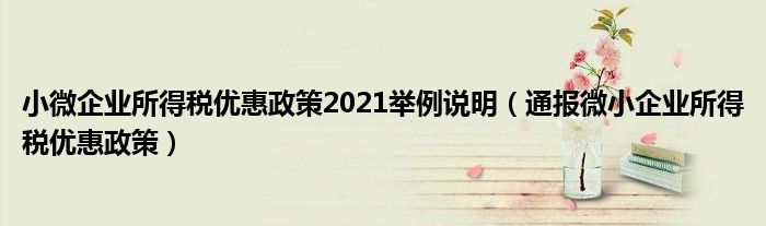 小微企业所得税优惠政策2021举例说明(通报微小企业所得税优惠政策)